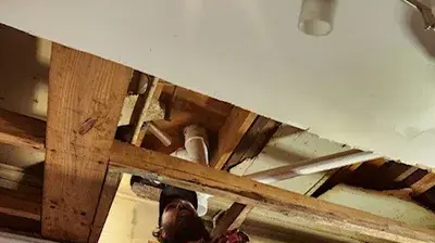 Dave on a ladder Photo