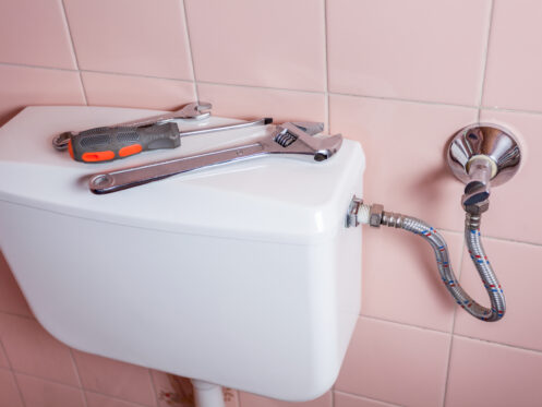 Should You Hire a Plumber For Toilet Installation?